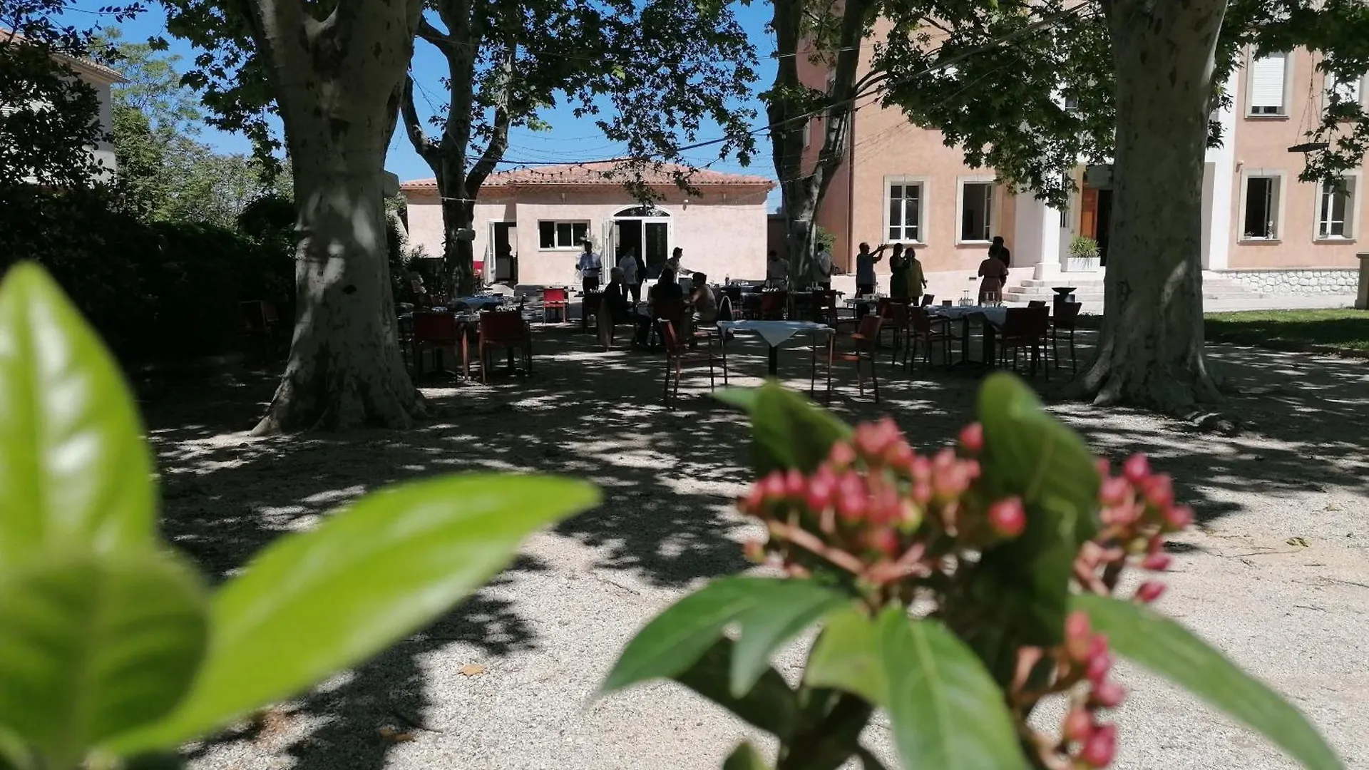 Domaine De La Nerthe- Hotel Provence Mediterranee Gignac-la-Nerthe